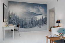 R11571 Winter Panorama Mural by Rebel Walls