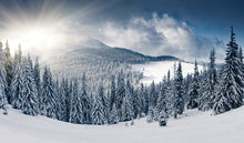 R11571 Winter Panorama Mural by Rebel Walls