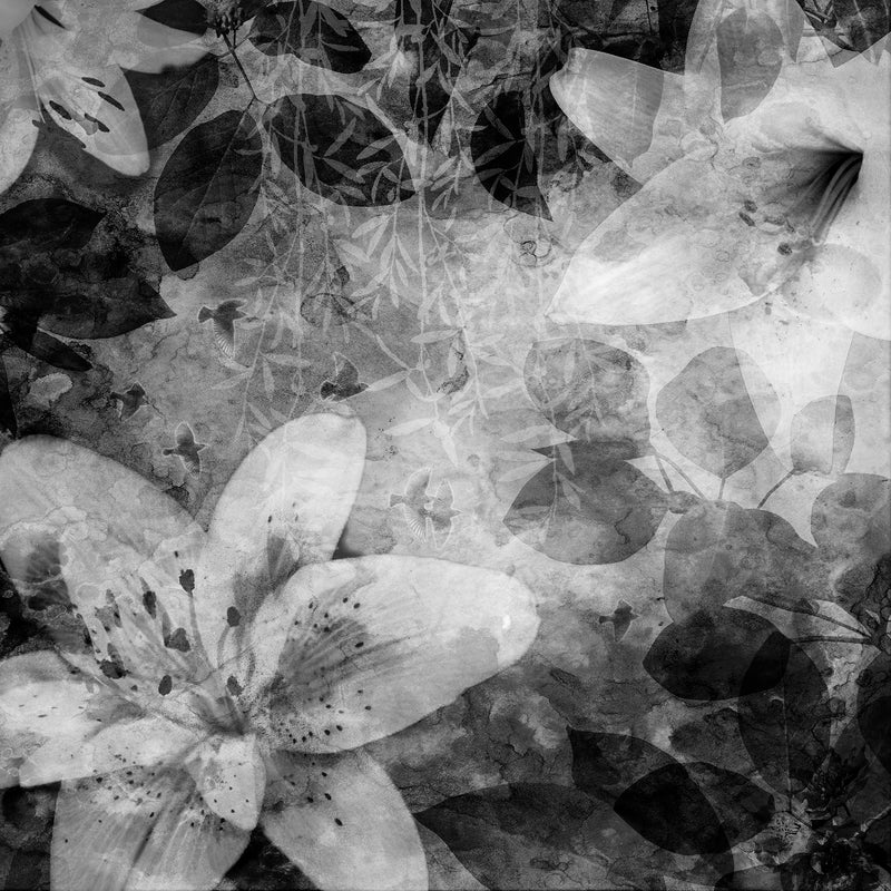 R12062 Garden of Dreams Black & White Panorama Mural by Rebel Walls