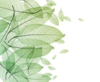 R12201 Foliage Panorama Mural by Rebel Walls