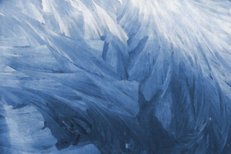 R12281 Feathers Panorama Mural by Rebel Walls