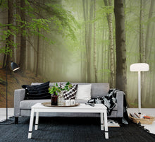 R12471 Forest Path Panorama Mural by Rebel Walls