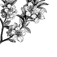 R12652 Springtime Black&white Panorama Mural by Rebel Walls