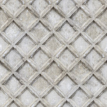 R12781 Concrete Trellis Frontage Mural by Rebel Walls