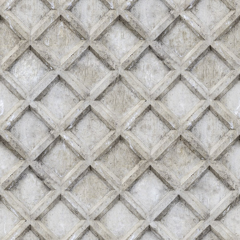 R12781 Concrete Trellis Frontage Mural by Rebel Walls
