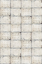 R12851 Tin Plates Ontario Frontage Mural by Rebel Walls