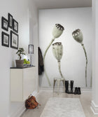 R12991 Simple Seedpod Greenhouse Mural by Rebel Walls