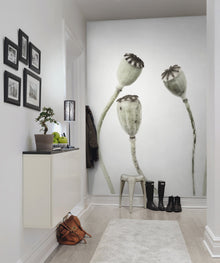 R12991 Simple Seedpod Greenhouse Mural by Rebel Walls
