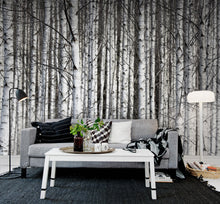 R13031 Birch Trunks Greenhouse Mural by Rebel Walls