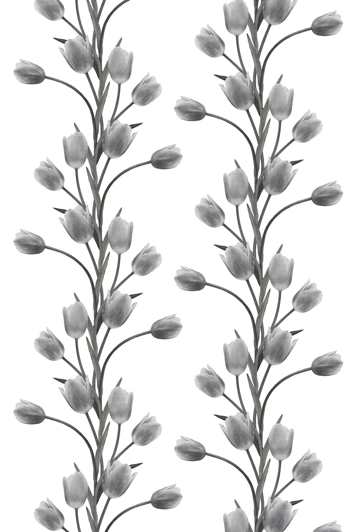 R13062 La Vie En Tulipe White Greenhouse Mural by Rebel Walls