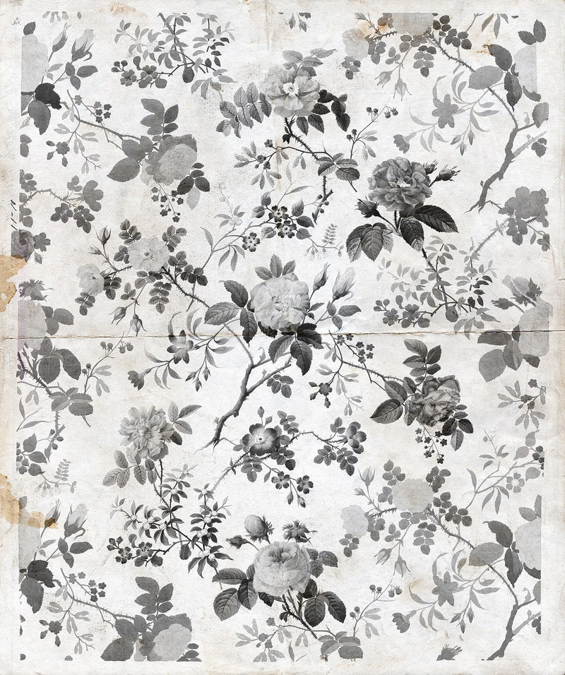 R13072 Rosegarden Black Greenhouse Mural by Rebel Walls