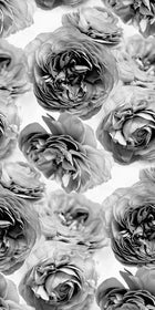 R13092 Summer Wind Black and White Greenhouse Mural by Rebel Walls