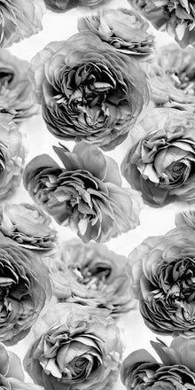 R13092 Summer Wind Black and White Greenhouse Mural by Rebel Walls