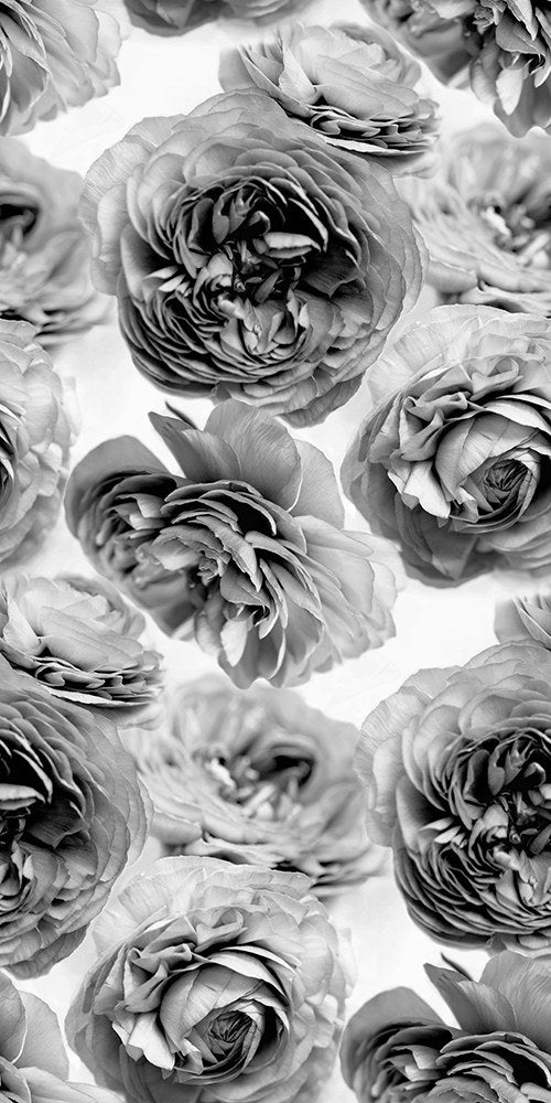 R13092 Summer Wind Black and White Greenhouse Mural by Rebel Walls