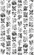 R13171 Fruit & Flora Greenhouse Mural by Rebel Walls