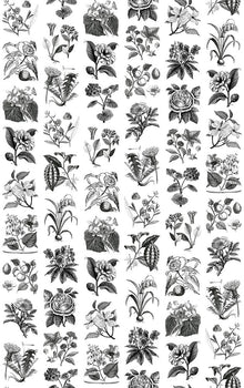 R13171 Fruit & Flora Greenhouse Mural by Rebel Walls