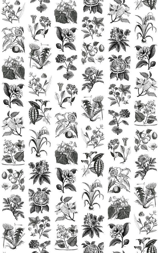 R13171 Fruit & Flora Greenhouse Mural by Rebel Walls