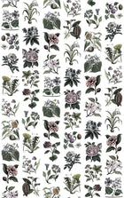 R13172 Fruit & Flora Color Greenhouse Mural by Rebel Walls