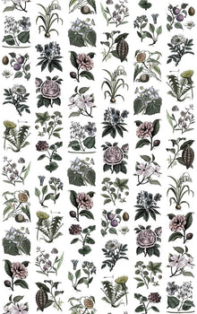 R13172 Fruit & Flora Color Greenhouse Mural by Rebel Walls