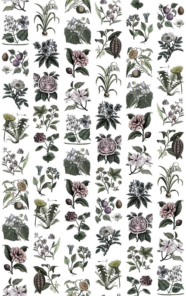 R13172 Fruit & Flora Color Greenhouse Mural by Rebel Walls