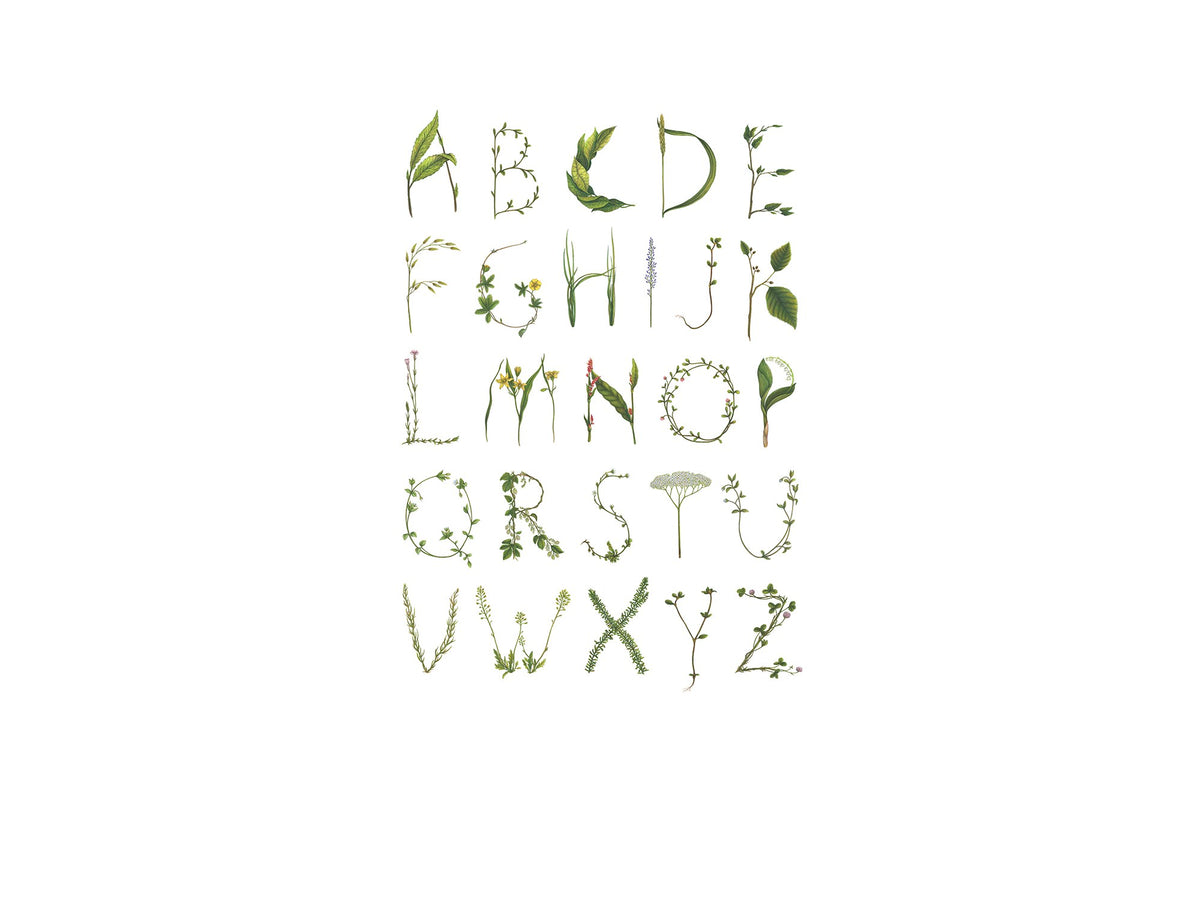 R13191 ABC for the spelling bee Greenhouse Mural by Rebel Walls