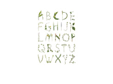 R13191 ABC for the spelling bee Greenhouse Mural by Rebel Walls