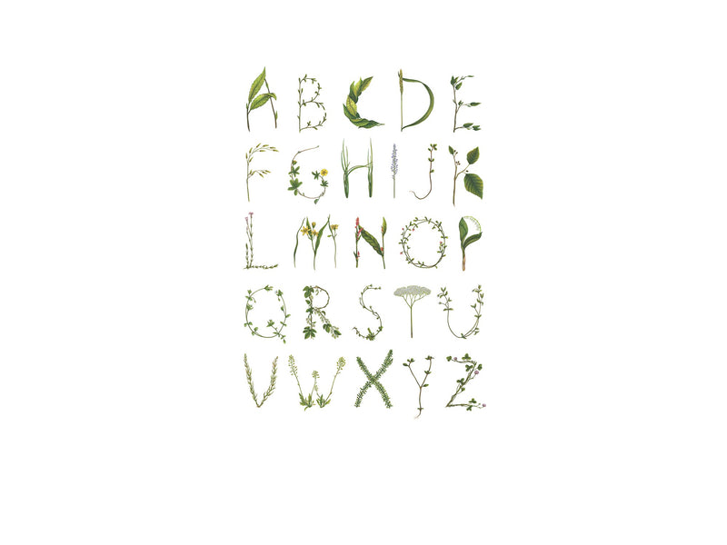 R13191 ABC for the spelling bee Greenhouse Mural by Rebel Walls