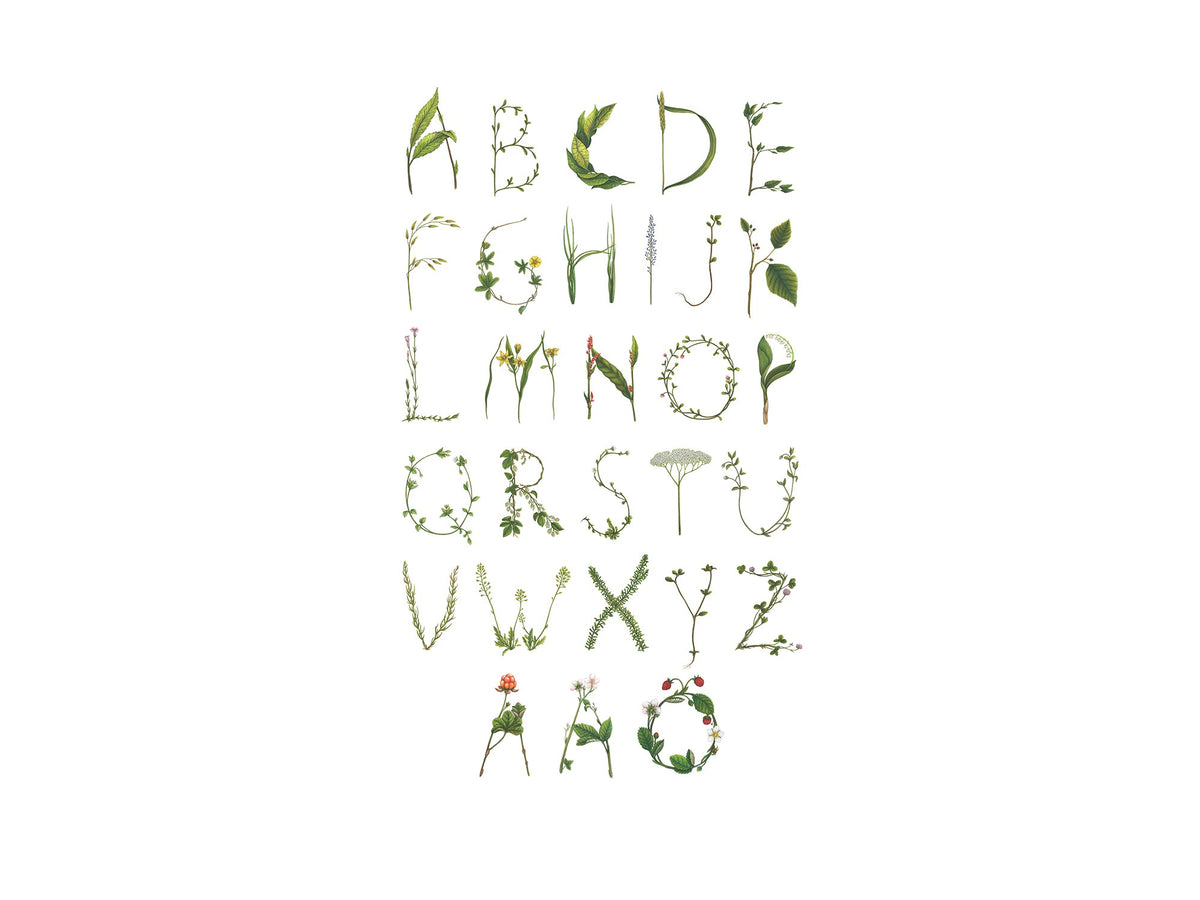 R13193 ABC for the spelling bee in Swedish Greenhouse Mural by Rebel Walls