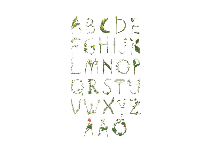 R13193 ABC for the spelling bee in Swedish Greenhouse Mural by Rebel Walls