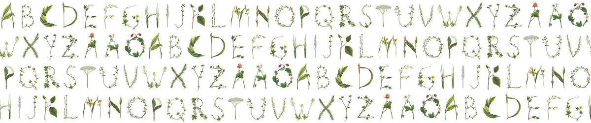 R13195 Floral Alphabet Bouquet Mural by Rebel Walls