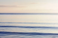 R13311 Graceful Sea Spectrum Mural by Rebel Walls