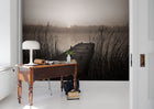 R13581 Misty Lake Mural by Rebel Walls