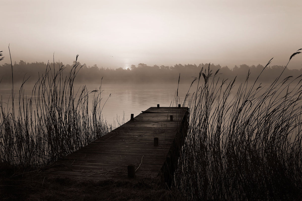 R13581 Misty Lake Mural by Rebel Walls