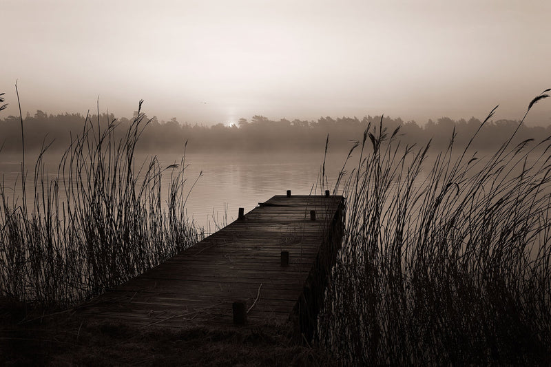 R13581 Misty Lake Mural by Rebel Walls