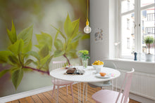 R13661 Green Leaves Mural by Rebel Walls