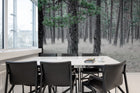 R13711 Pine Forest Mural by Rebel Walls