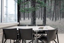 R13711 Pine Forest Mural by Rebel Walls
