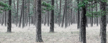 R13711 Pine Forest Mural by Rebel Walls