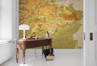 R13761 Trails and Tracks Maps Mural by Rebel Walls