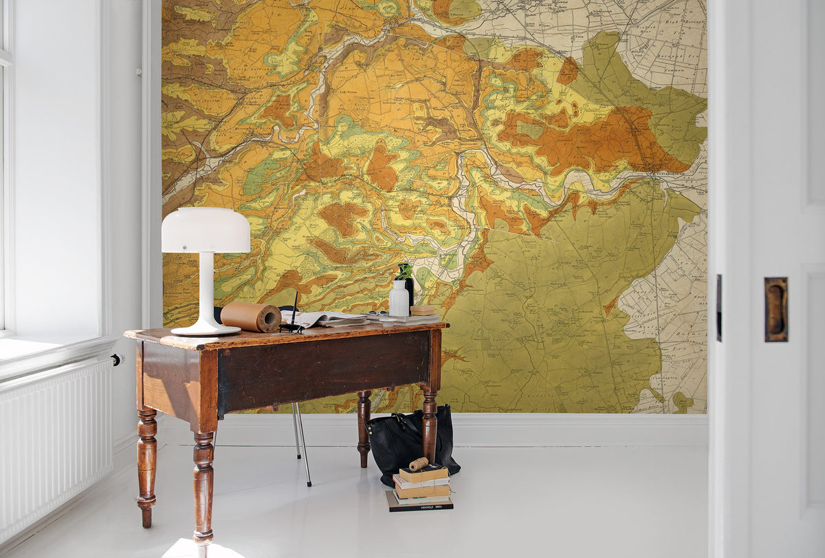 R13761 Trails and Tracks Maps Mural by Rebel Walls