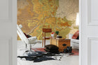 R13761 Trails and Tracks Maps Mural by Rebel Walls