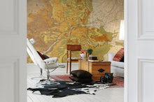 R13761 Trails and Tracks Maps Mural by Rebel Walls