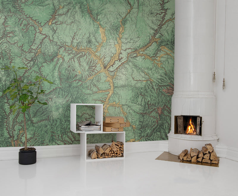 R13771 Woodland Maps Mural by Rebel Walls