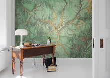 R13771 Woodland Maps Mural by Rebel Walls