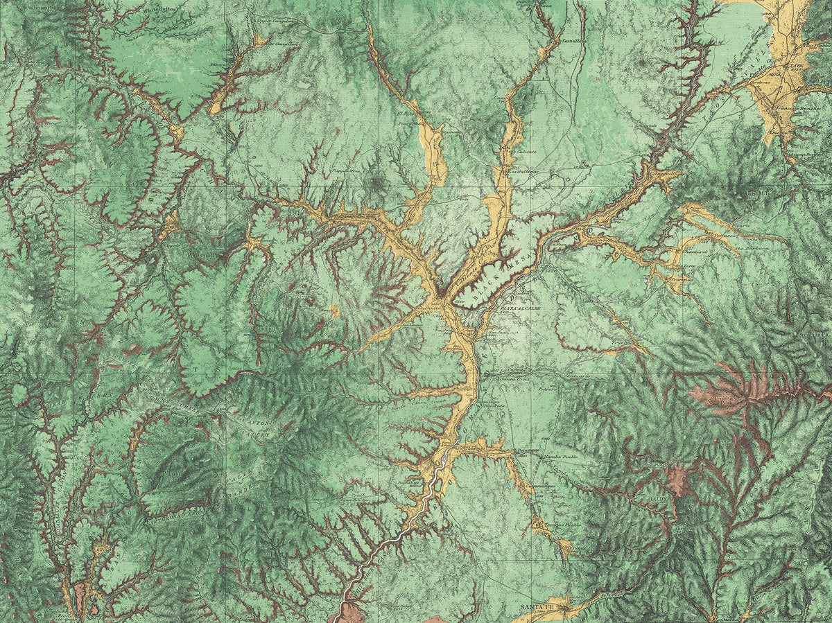 R13771 Woodland Maps Mural by Rebel Walls