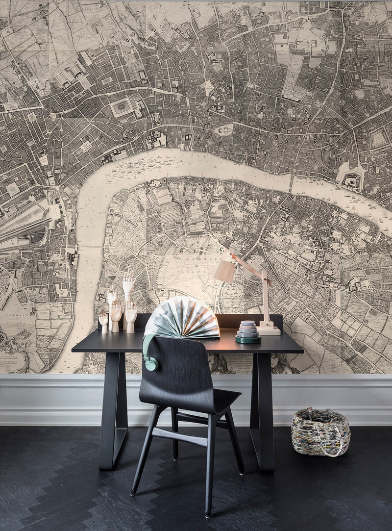 R13781 Urban And Rural Maps Mural by Rebel Walls