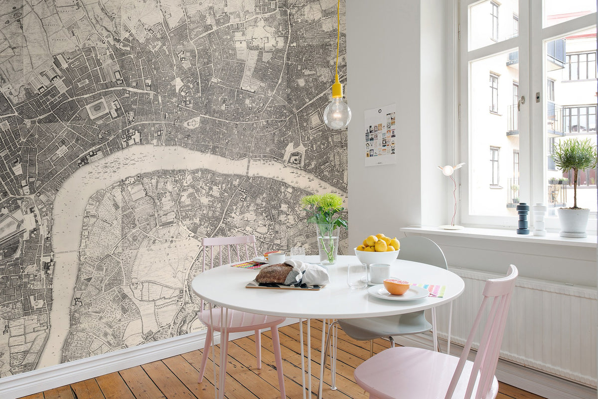 R13781 Urban And Rural Maps Mural by Rebel Walls