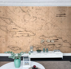 R13791 Navigation Lines Maps Mural by Rebel Walls