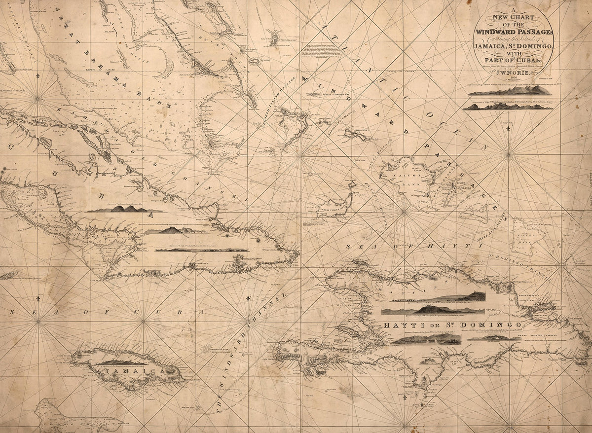 R13791 Navigation Lines Maps Mural by Rebel Walls