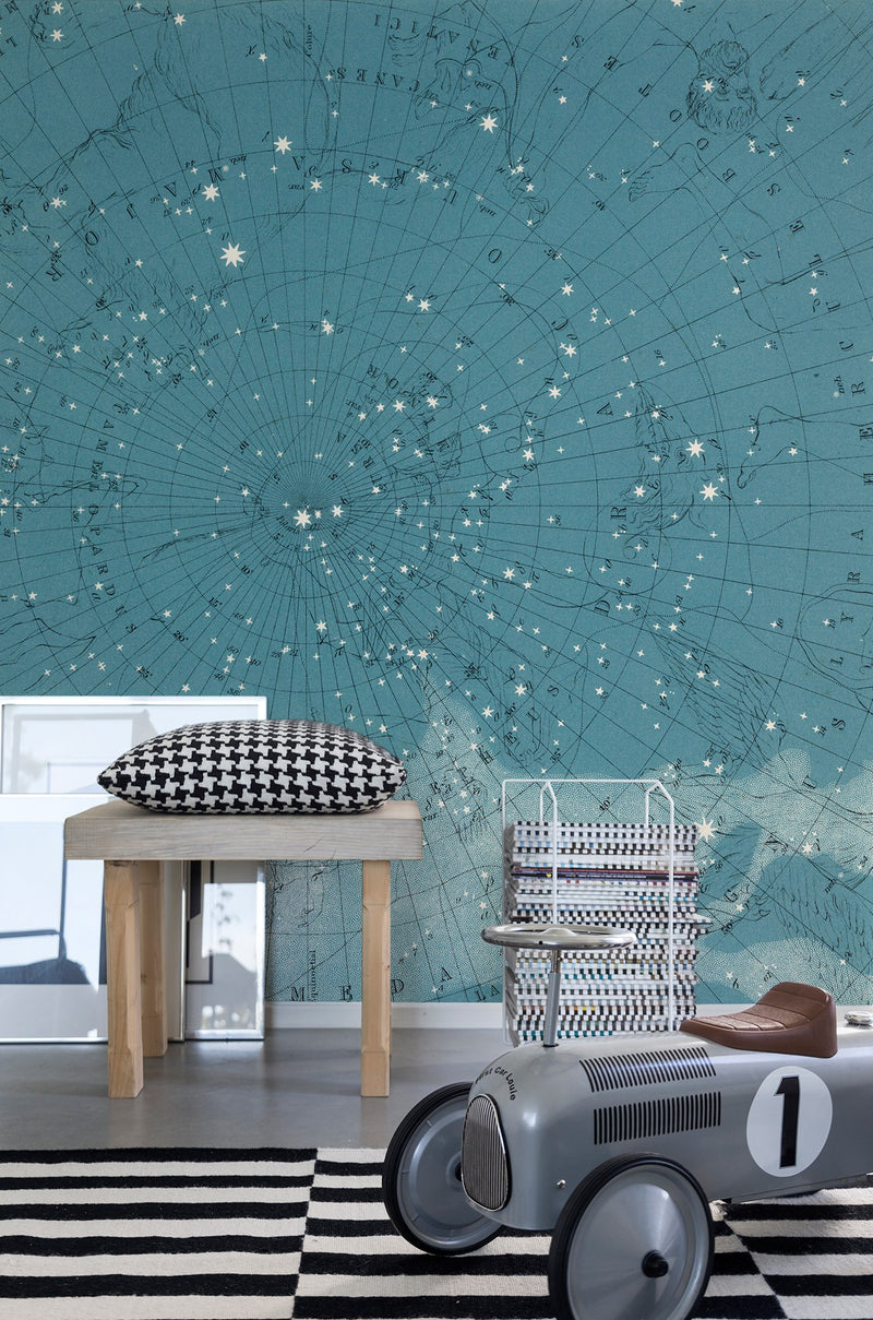 R13811 Atlas Of Astronomy Maps Mural by Rebel Walls
